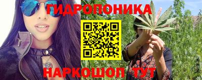 стаф Лесосибирск