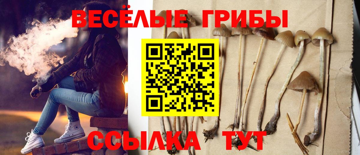 Томск  Псилоцибиновые грибы ЛСД  Галлюциногенные грибы Cubensis  Вход с VPN 
