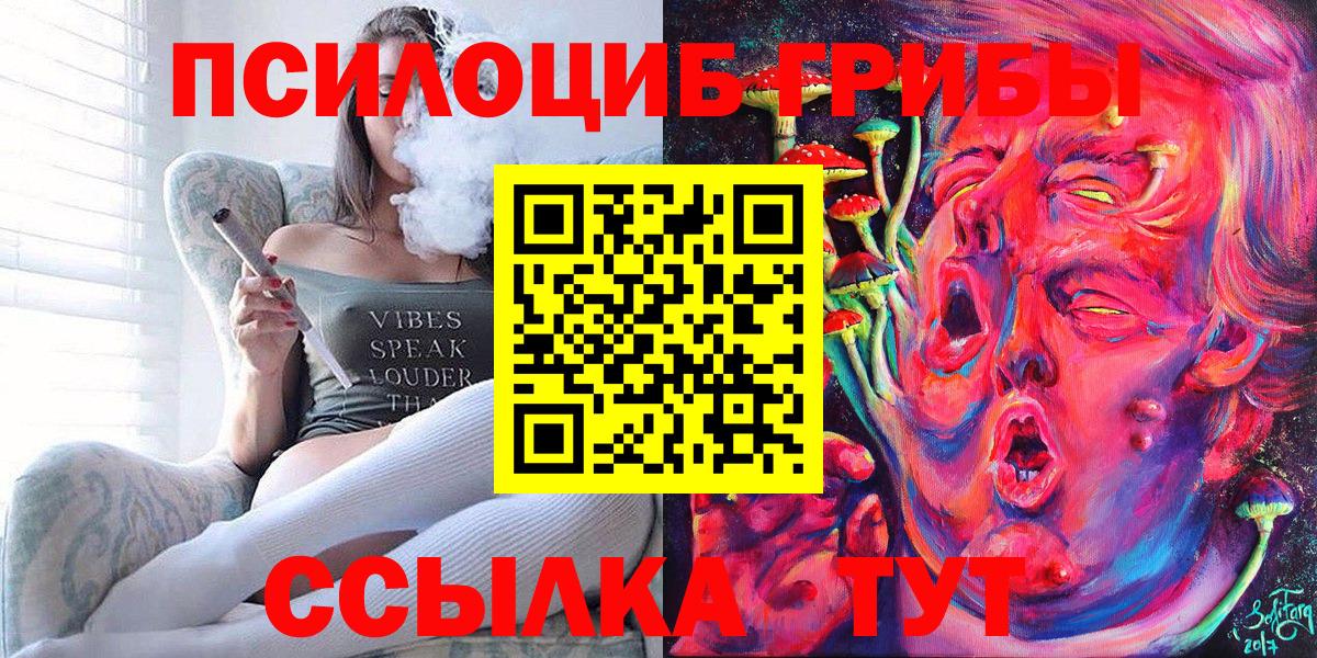Галлюциногенные грибы Cubensis Томск